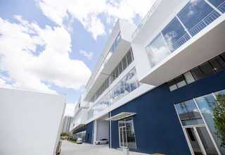 武汉园林白蚁防治价格