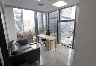 江苏全自动纸碟机厂家