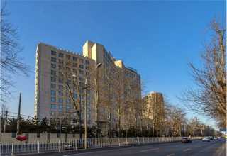 苏州蜂窝纸箱报价