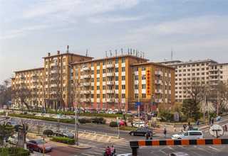 广东塔接锭带哪家便宜